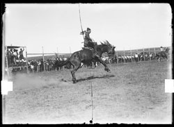 Yucca Rodeo, 1927