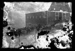 Man with six children and cattle in front of barn