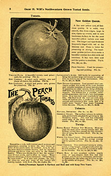 will catalog page featuring tomato