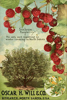 Will catalog cover 1918