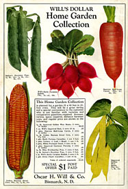 Will seed catalog 1930 back cover featuring vegetables