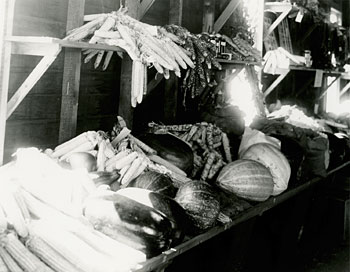 vegetable exhibit at Standing Rock Fair