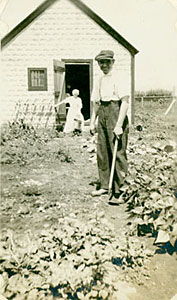 Man cultivating garden