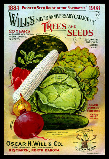 1908 Will's Seed Company Catalog Cover