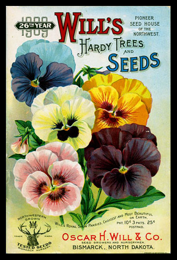1909 Will's Seed Company Catalog Cover