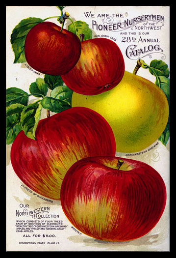 1911 Will's Seed Company Catalog Back Cover