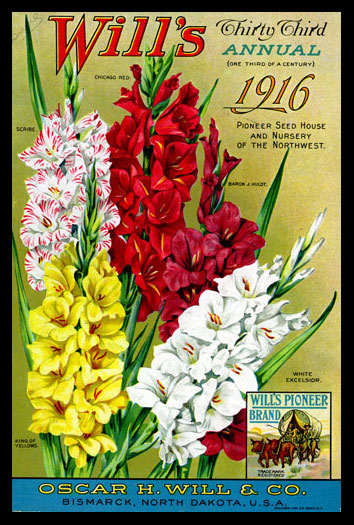 1916 Will's Seed Company Catalog Cover
