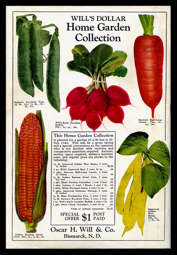 1930 Will's Seed Company Catalog Back Cover
