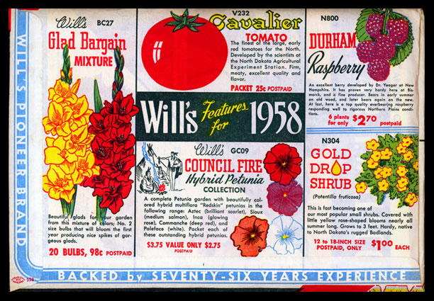 1958 Will's Seed Company Envelope