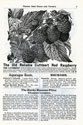 Will Seed Company Catalog 1903 p5