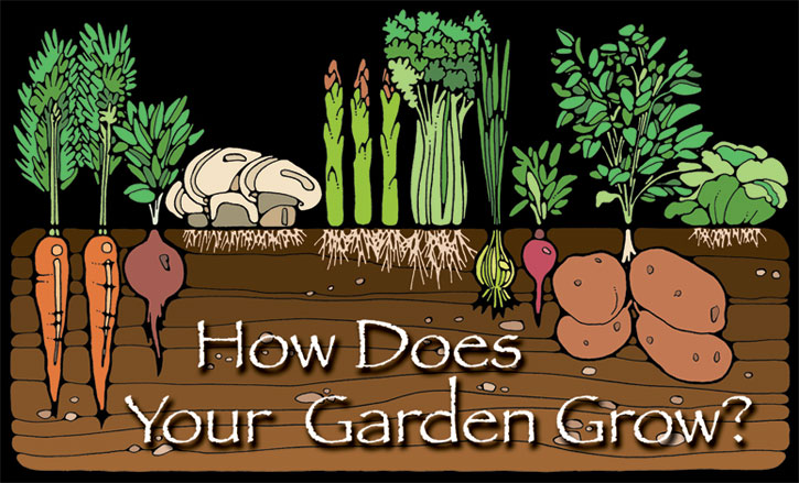 How Does Your Garden Grow Exhibit Logo