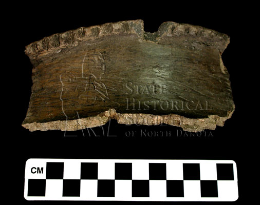 pottery rim sherd, notched rim