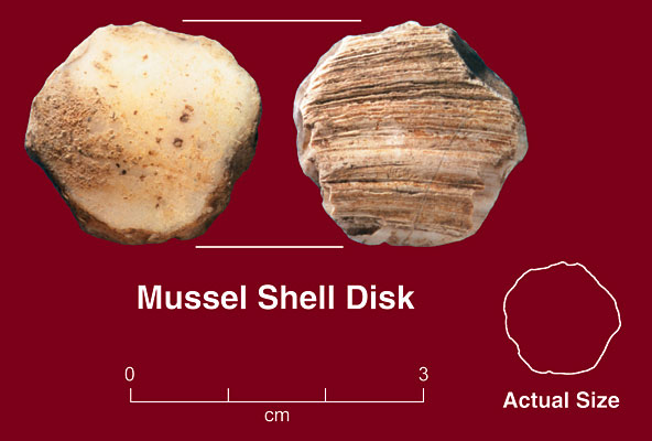 Mussel Shell Disk